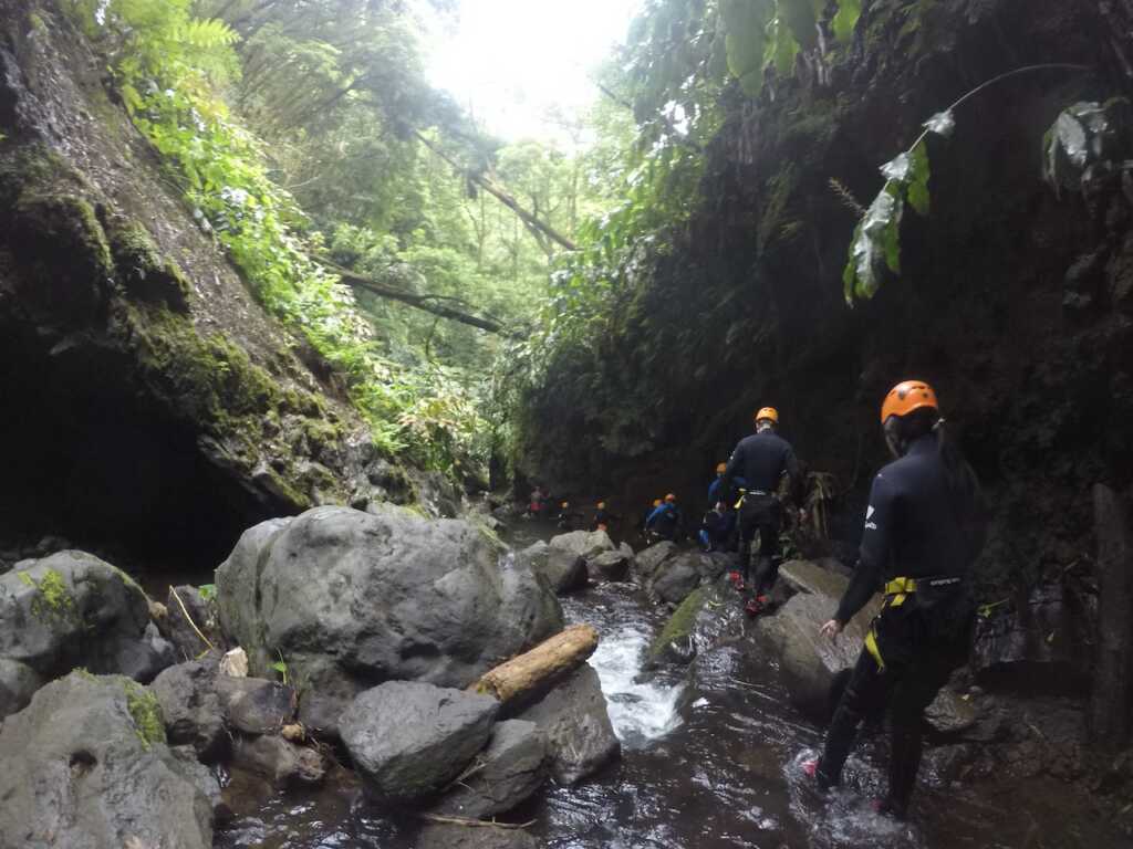 Gruppe läuft durch einen Bach beim Canyoning auf den Azoren 